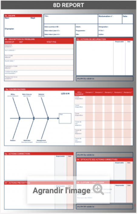 SHOP Formulaire paperboard 8D 610x950 mm avec oeillets - Lot de 10