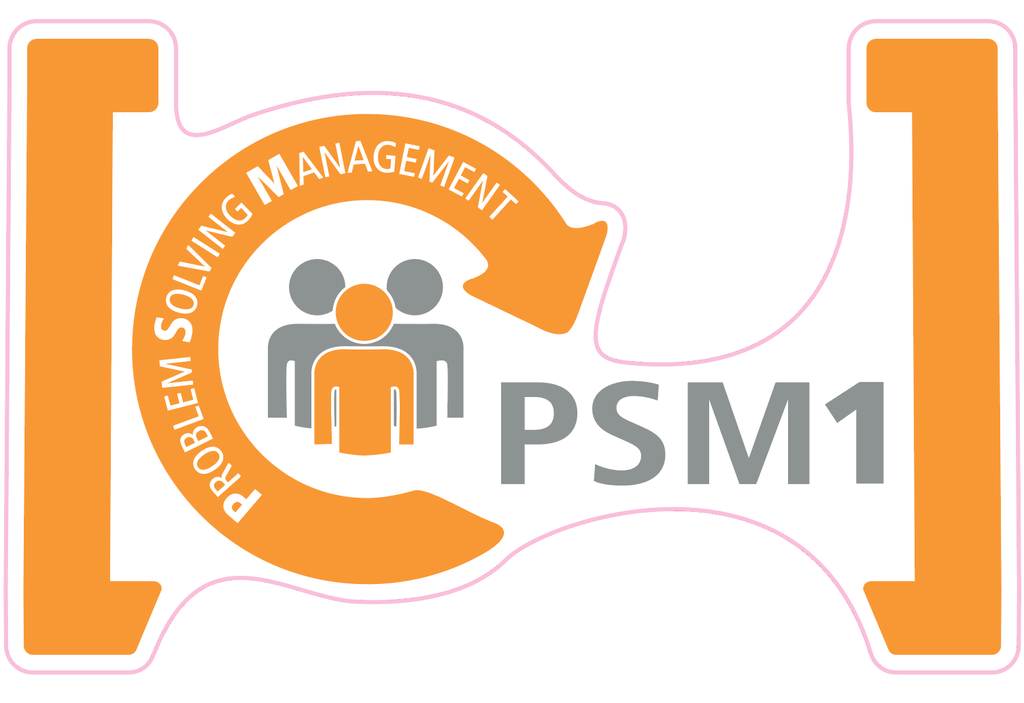 [LISI STICKER SOL PSM1+] LISI - Stickers sol PSM1+ orange 800x500 mm